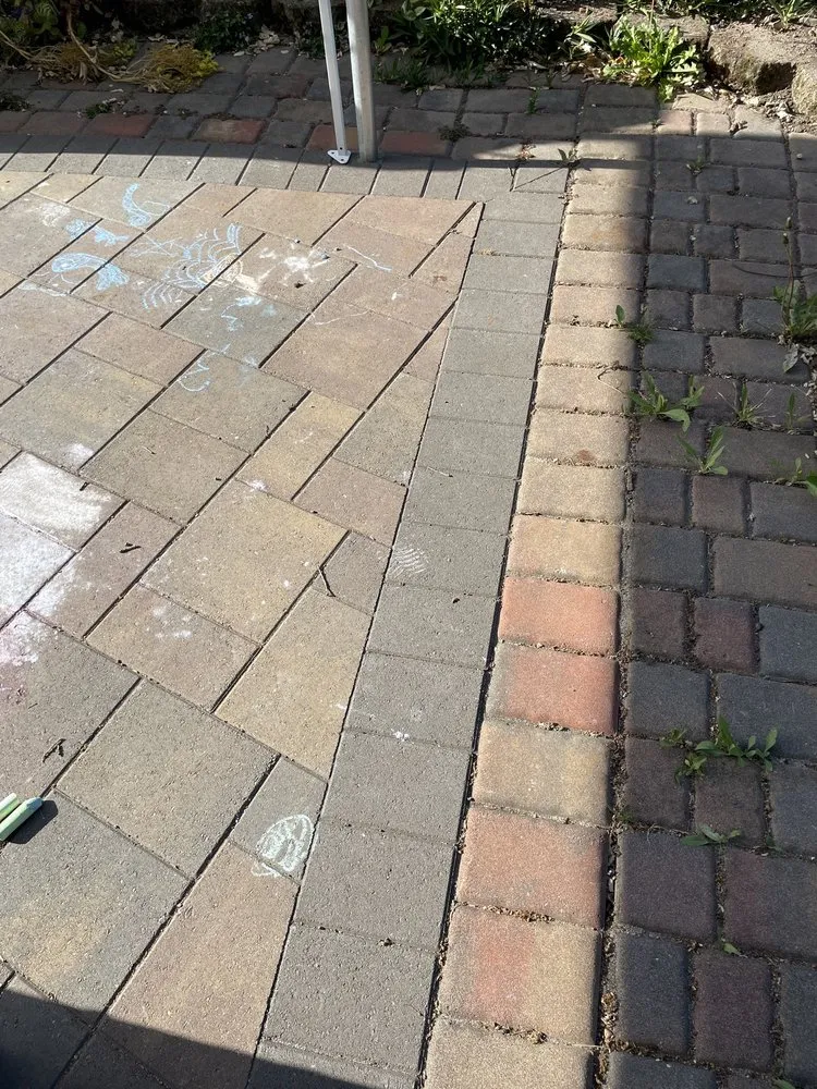 Reliable yard cleanup service experts serving Santa Rosa, CA - Atlas Pavers