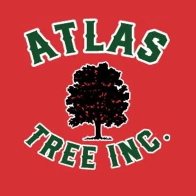 Reliable landscape design in Mentor, OH - Atlas Tree & Landscaping
