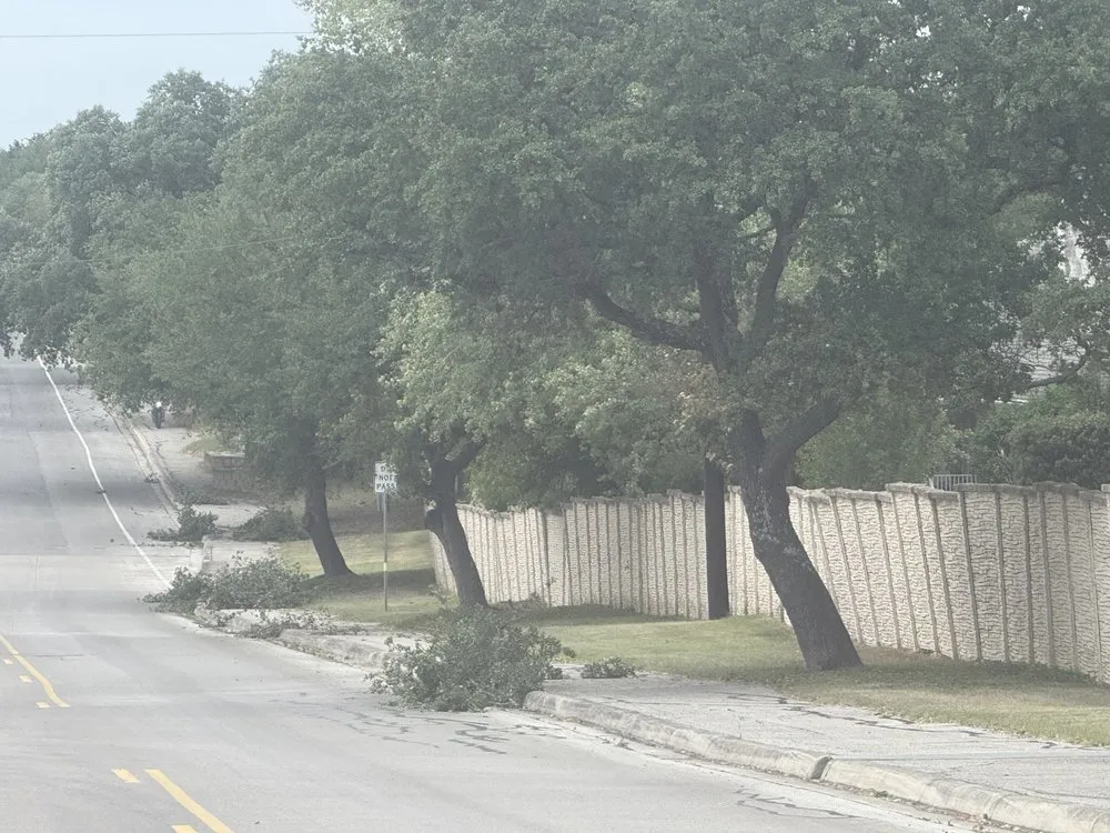 Reliable landscape installation for outdoor upgrades in San Antonio, TX by Atlas Tree