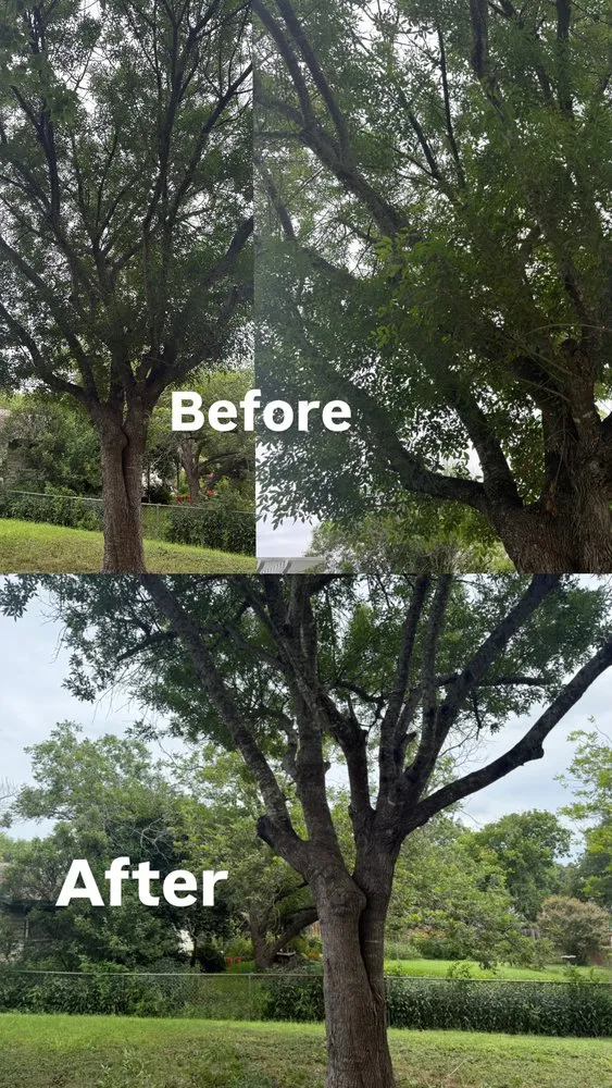 Trusted yard cleanup service for residential properties across San Antonio, TX - Atlas Tree