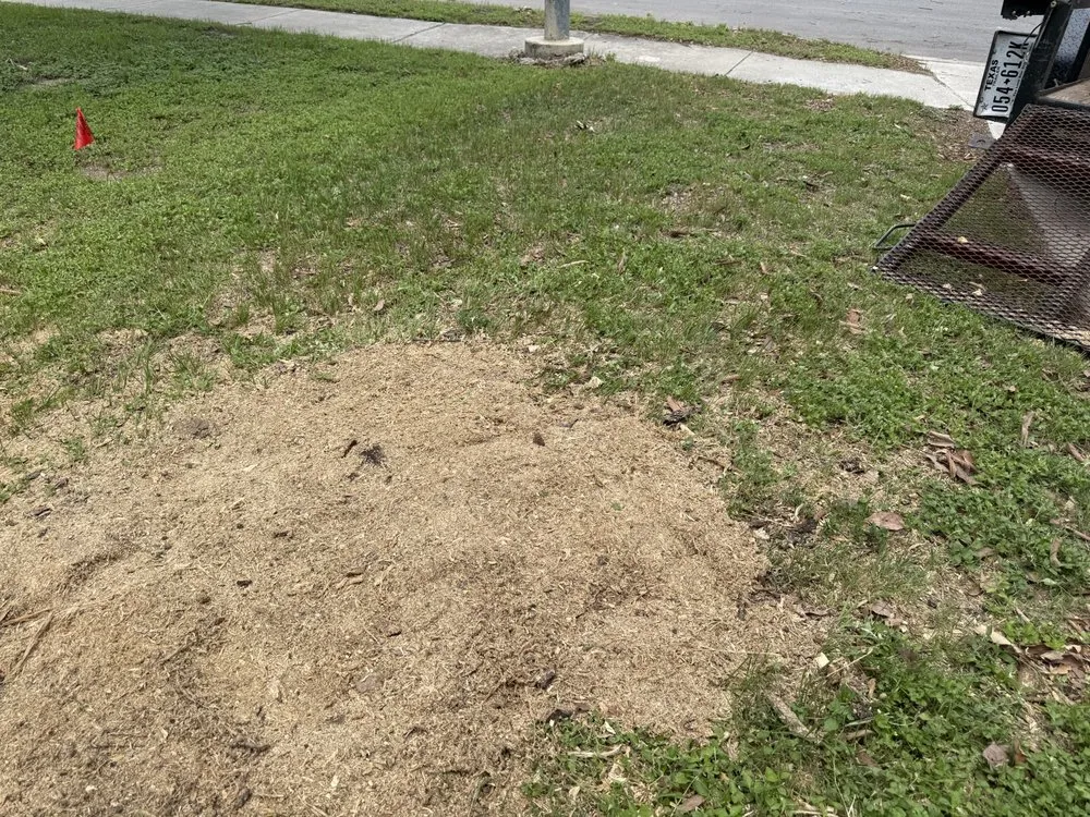 Reliable outdoor landscaping experts serving San Antonio, TX - Atlas Tree