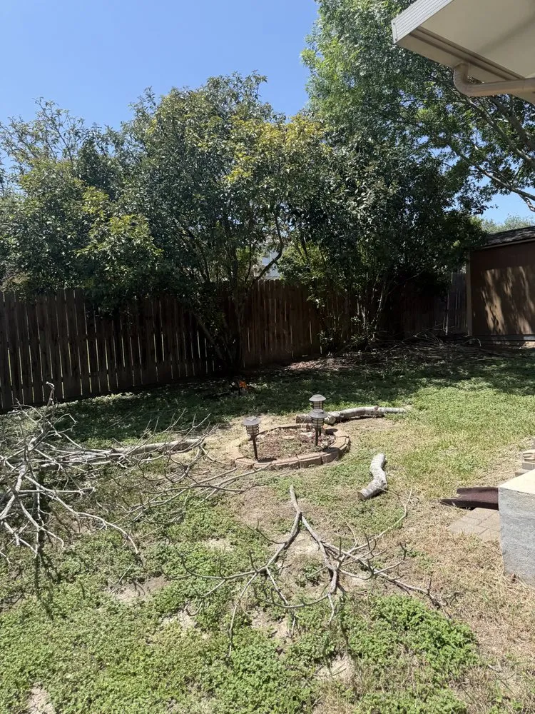 Affordable lawn mowing service in San Antonio, TX - Atlas Tree