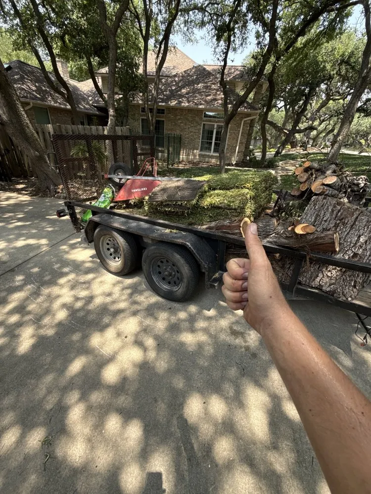 Professional yard cleanup service in San Antonio, TX - Atlas Tree