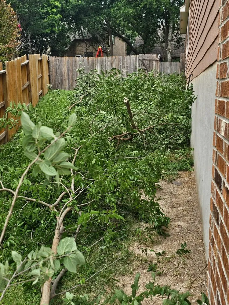 Reliable lawn mowing service with custom design in San Antonio, TX by Atlas Tree