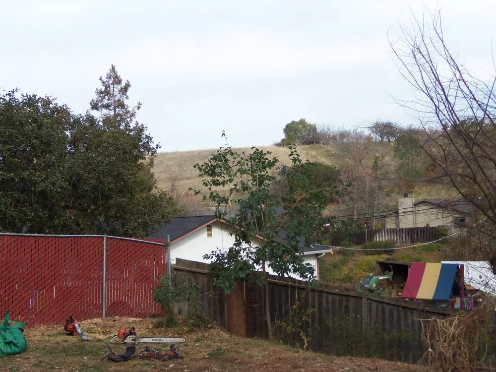 Expert garden landscaping in Concord, CA by Atlas Tree Service