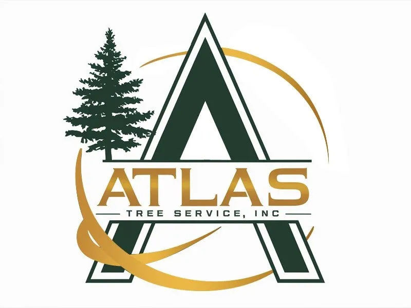 Expert yard maintenance for homes in Concord, CA by Atlas Tree Service