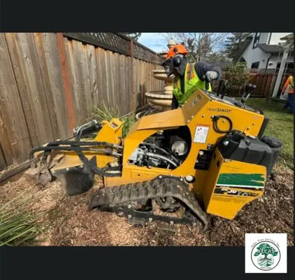 Atlas Tree Service Logo