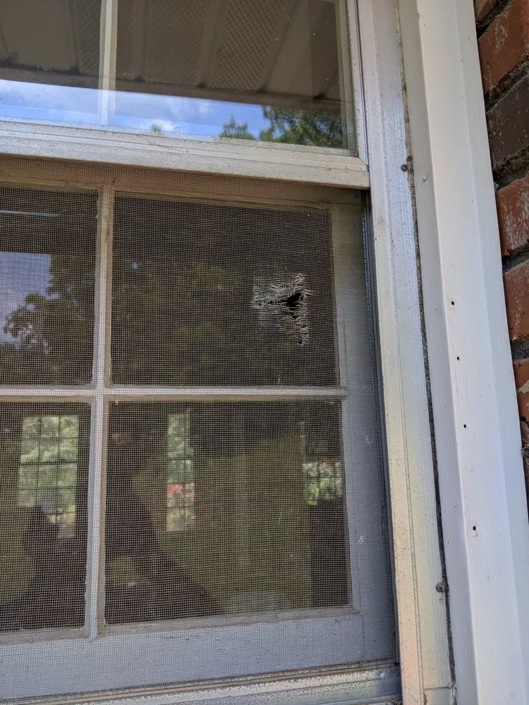 Reliable yard maintenance in Marietta, GA by Atlas Tree Services