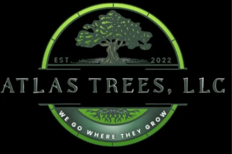 Trusted landscaping services in Palm Coast, FL - Atlas Tree Services