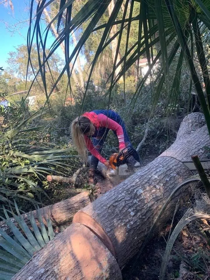 Expert outdoor landscaping for homes in Palm Coast, FL by Atlas Tree Services