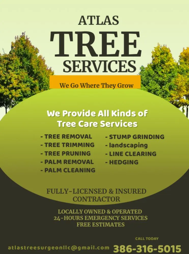 Expert residential landscaping in Palm Coast, FL by Atlas Tree Services