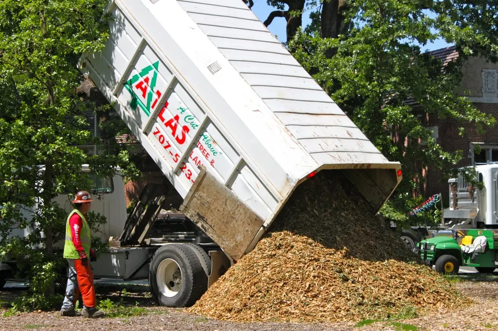 Custom yard maintenance for homes across Santa Rosa, CA - Atlas Tree Surgery