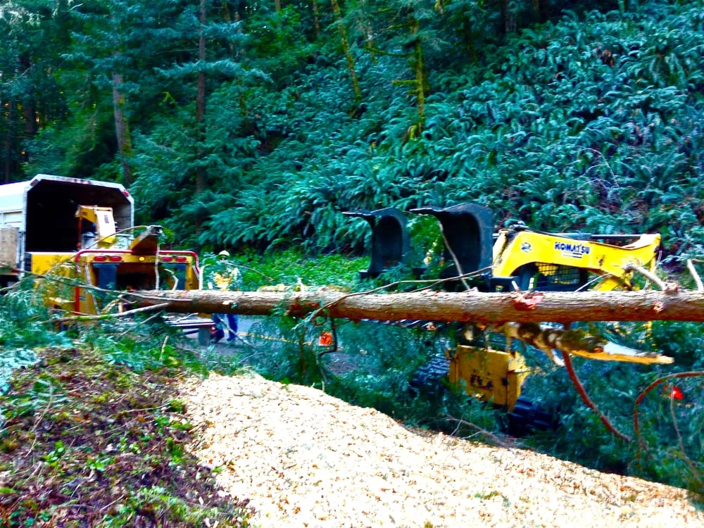 Custom garden landscaping near you across Santa Rosa, CA - Atlas Tree Surgery