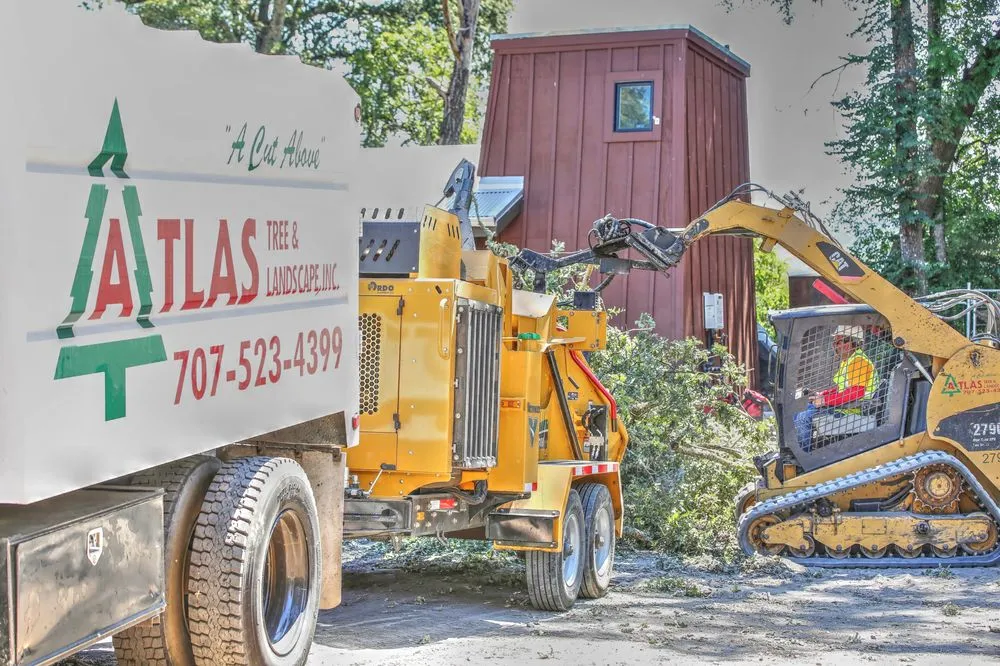 Trusted lawn mowing service experts serving Santa Rosa, CA - Atlas Tree Surgery