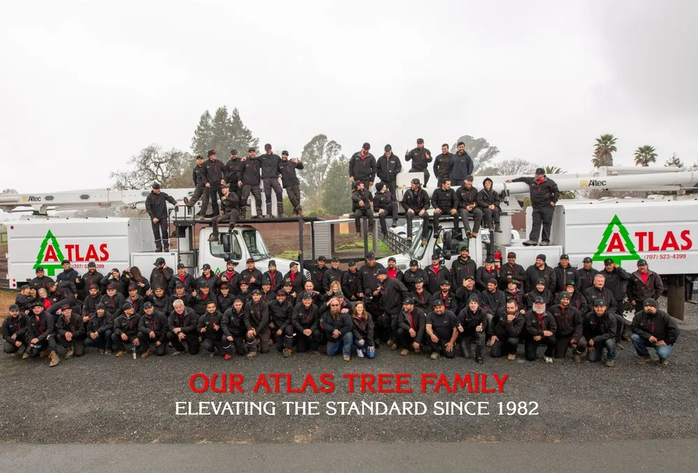 Trusted landscape installation for residential properties in Santa Rosa, CA by Atlas Tree Surgery