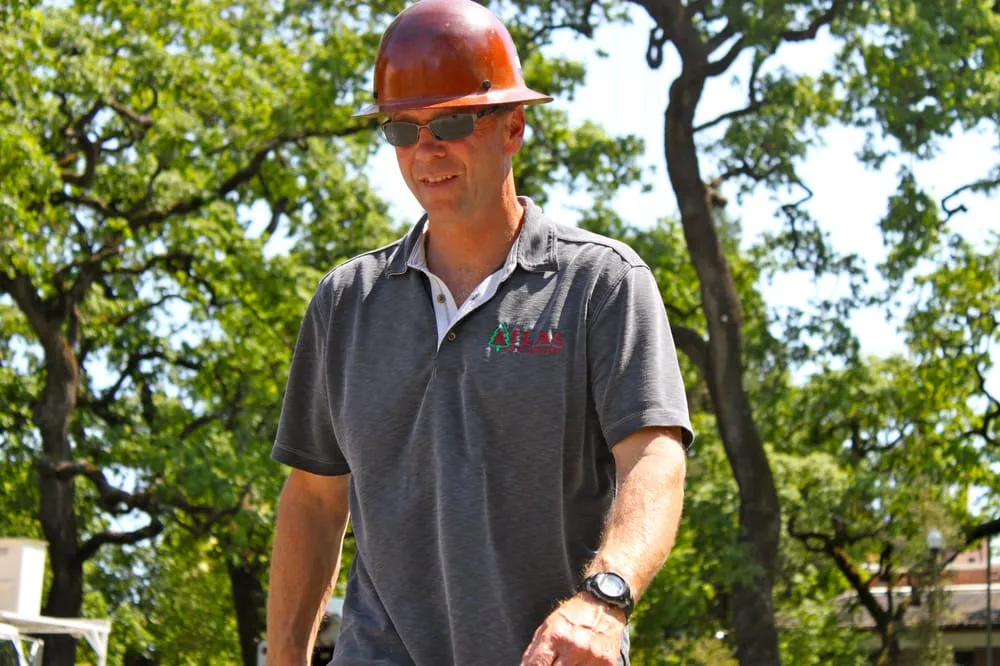 Affordable yard maintenance in Santa Rosa, CA by Atlas Tree Surgery