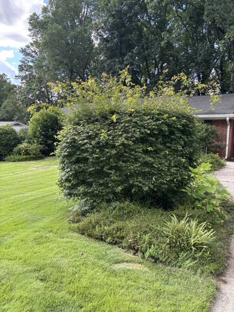 Custom residential landscaping for year-round maintenance across Fairburn, GA - ATLawnTA