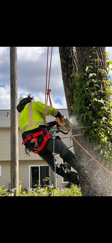 Expert yard maintenance in Kansas City, MO by ATM Property Services