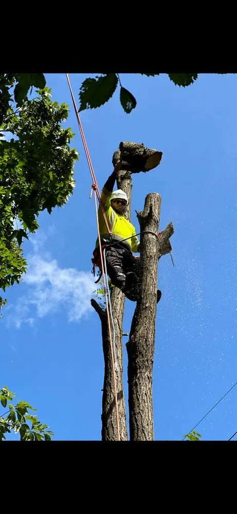 Professional landscape design in Kansas City, MO - ATM Property Services