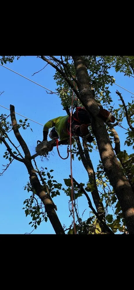 Affordable landscape installation for homes across Kansas City, MO - ATM Property Services
