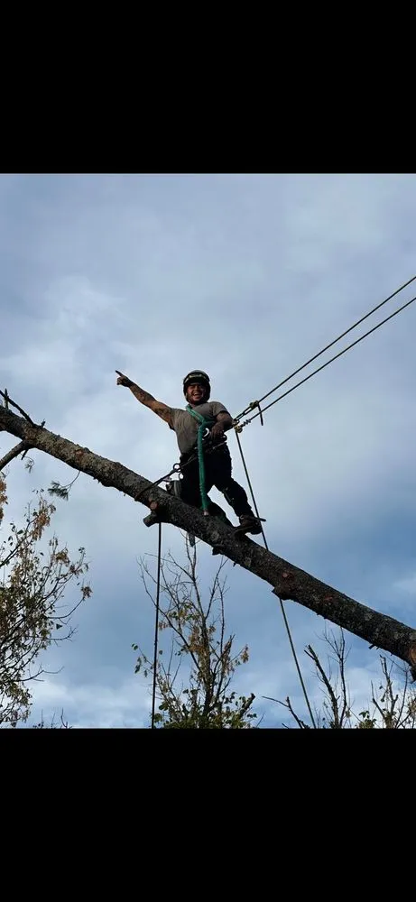 Professional residential landscaping experts serving Kansas City, MO - ATM Property Services