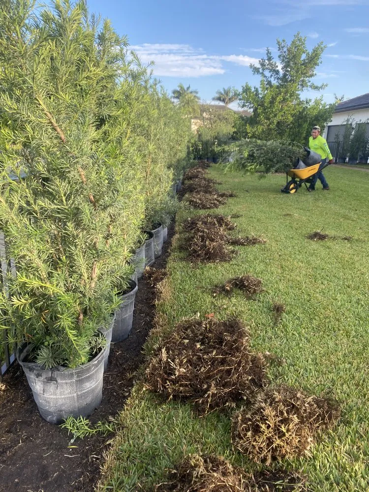 Expert landscape installation for beautiful yards across Miami, FL - ATO Lawn Maintenance