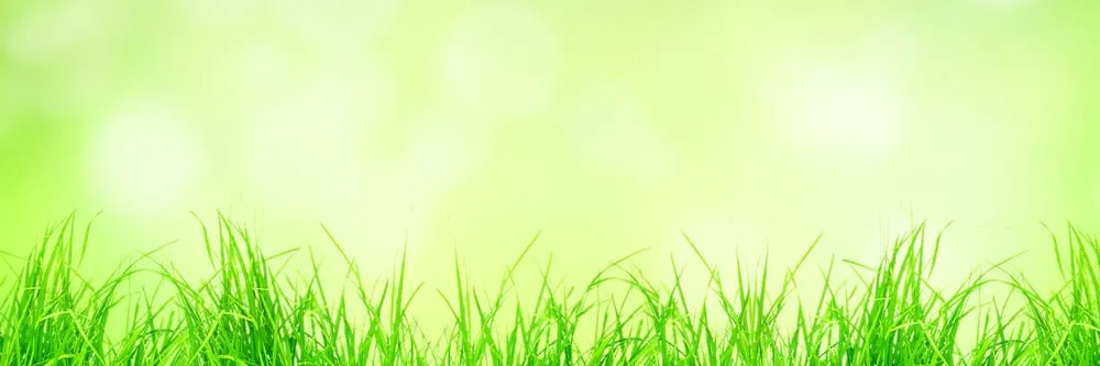 Custom landscaping services in Saint Charles, MO - A.T.O. Sprinkler Systems