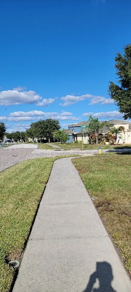 Trusted yard cleanup service near you across Land O' Lakes, FL - Atom Ant Lawn Services