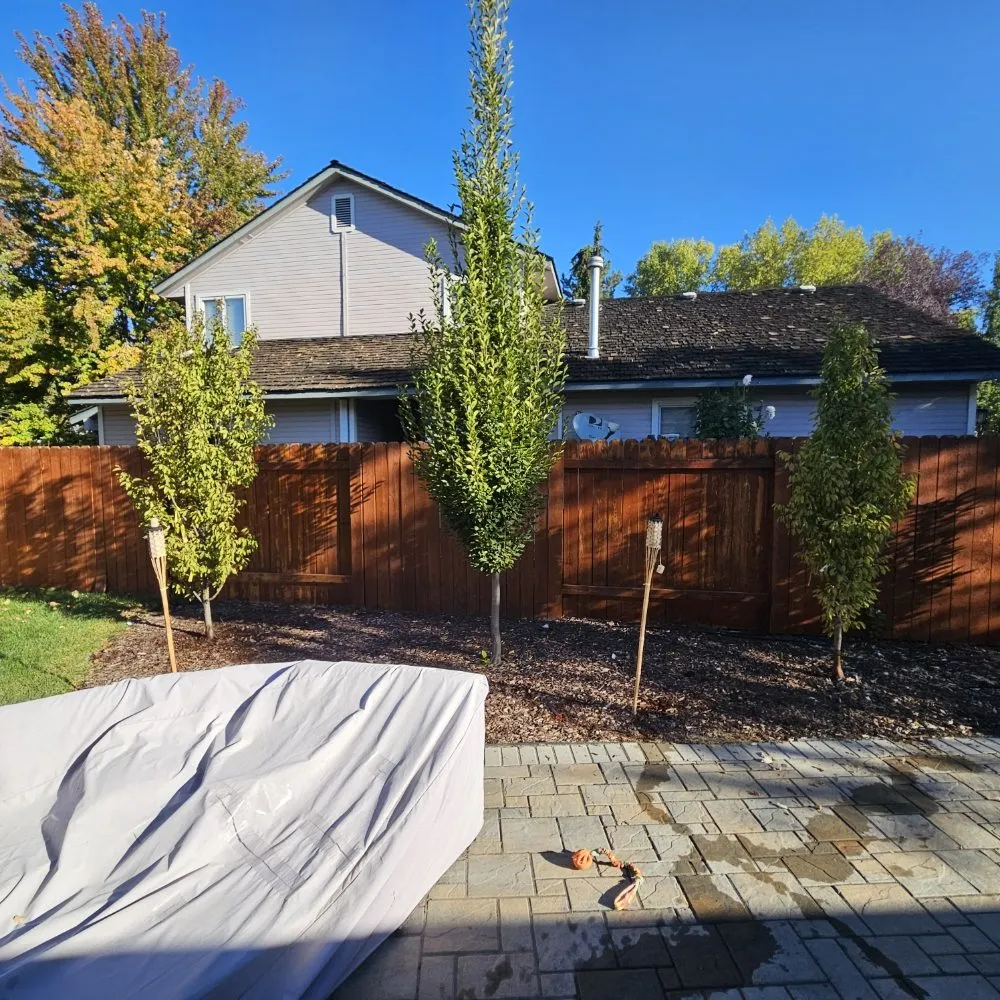 Top-rated yard cleanup service experts serving Boise, ID - Atomic Lawn & Landscape