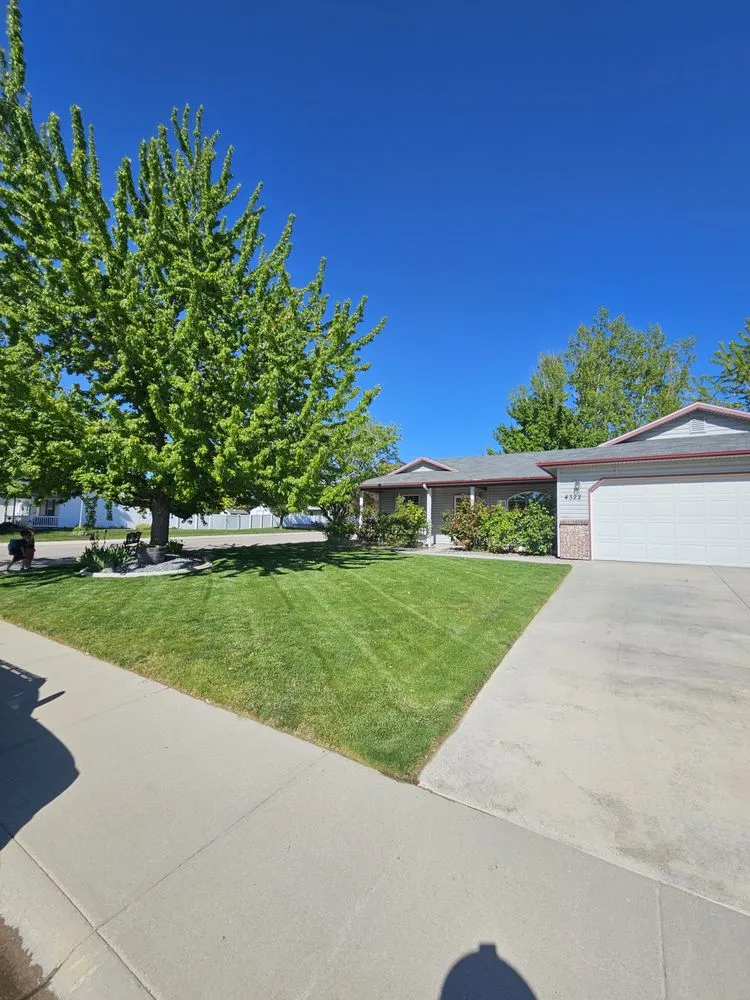 Local lawn care service in Boise, ID by Atomic Lawn & Landscape