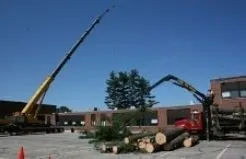 Affordable outdoor landscaping in Merrimack, NH by Atomic Tree Service