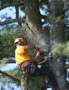 Expert outdoor landscaping in Merrimack, NH by Atomic Tree Service