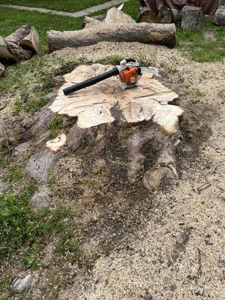 Top-rated lawn care service in Waterloo, IL by Atop Outdoors