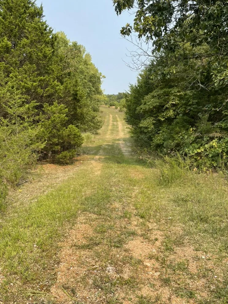 Trusted landscaping services near you across De Soto, MO - AtoZ lawn care & landscaping