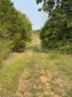 AtoZ lawn care & landscaping