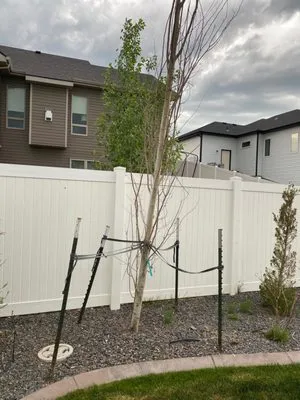 ATR Landscaping Services