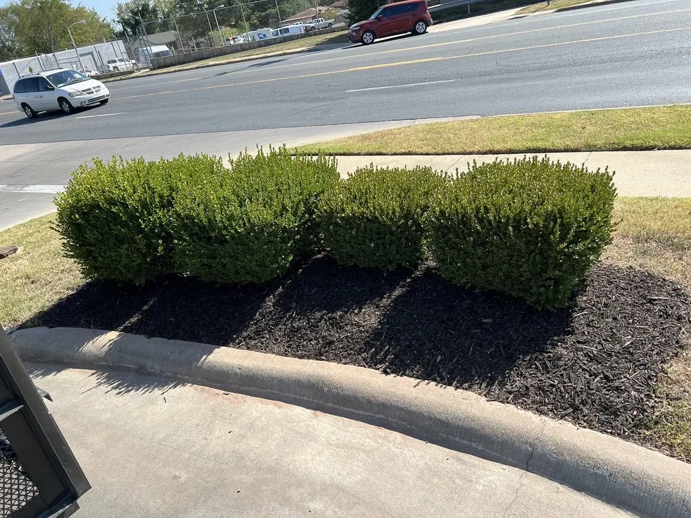 Custom lawn care service in Ward, AR by ATR Property Maintenance