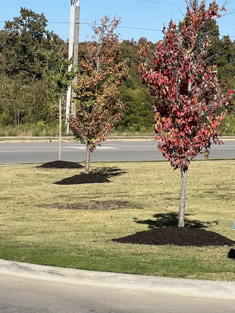 Affordable lawn mowing service experts serving Ward, AR - ATR Property Maintenance