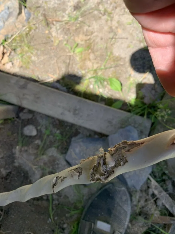 Local landscape installation near you across Wallkill, NY - ATR Property Services