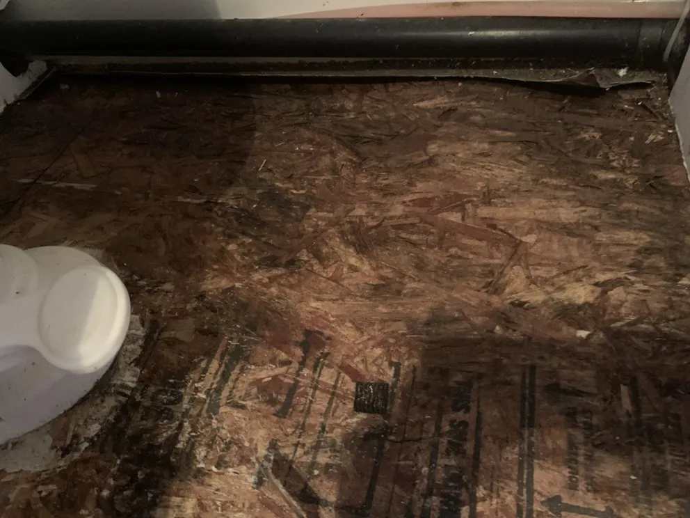 Reliable garden landscaping for year-round maintenance in Wallkill, NY by ATR Property Services