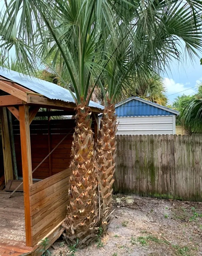 Professional landscape installation experts serving Palm Bay, FL - A+Trees & Stump Grinding