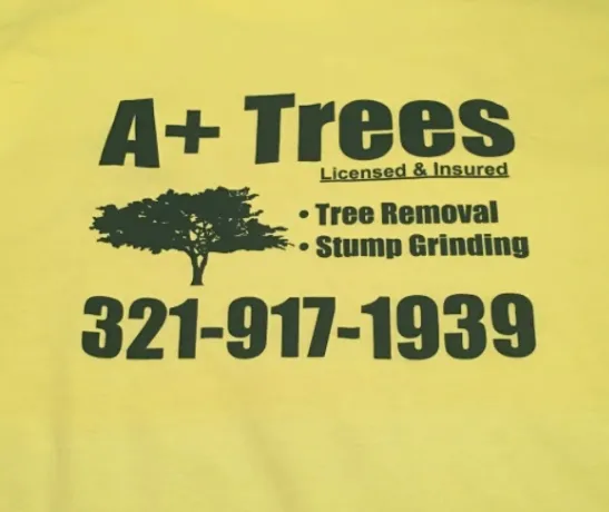 Expert yard cleanup service experts serving Palm Bay, FL - A+Trees & Stump Grinding