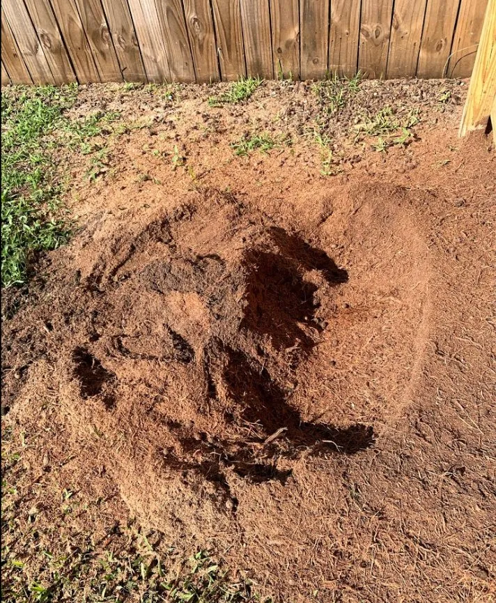 Expert yard maintenance for outdoor upgrades in Palm Bay, FL by A+Trees & Stump Grinding