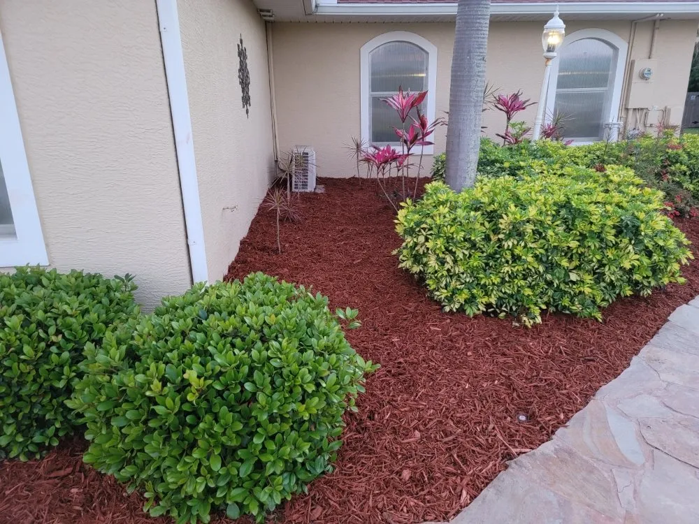 Expert residential landscaping in Palm Bay, FL by A+Trees & Stump Grinding
