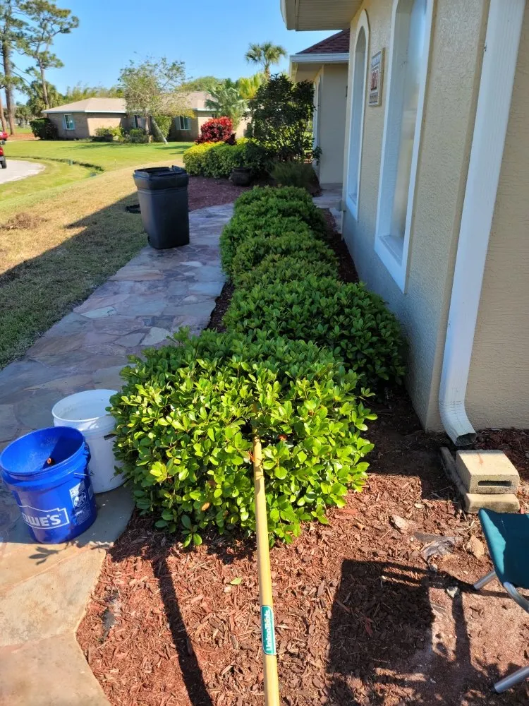Expert landscaping services in Palm Bay, FL by A+Trees & Stump Grinding