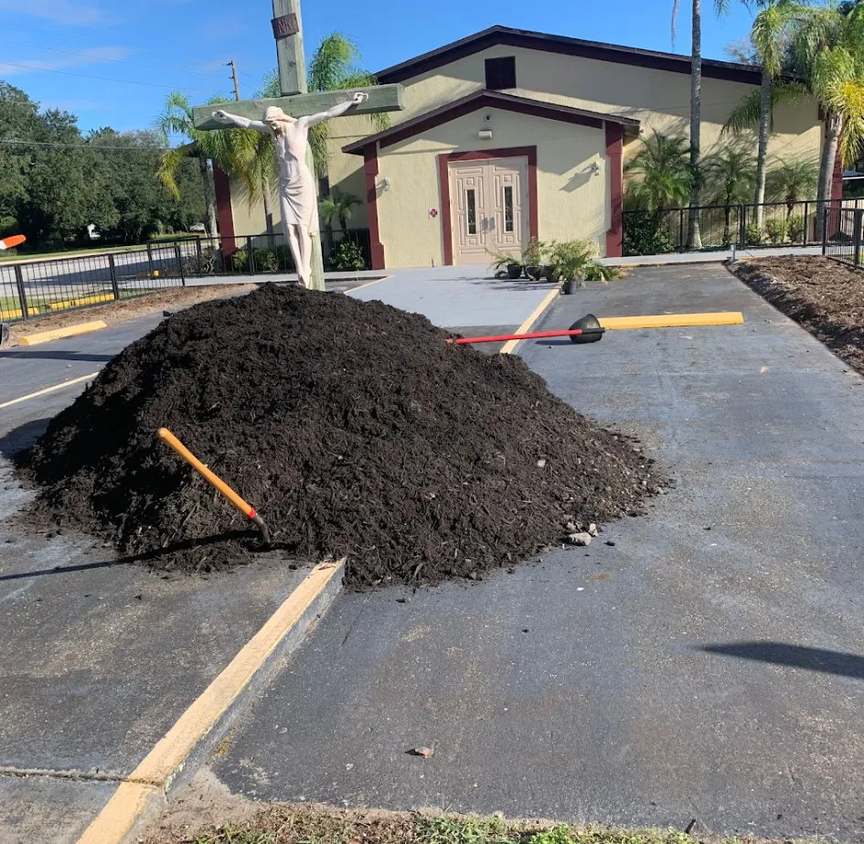 Affordable yard maintenance in Palm Bay, FL - A+Trees & Stump Grinding
