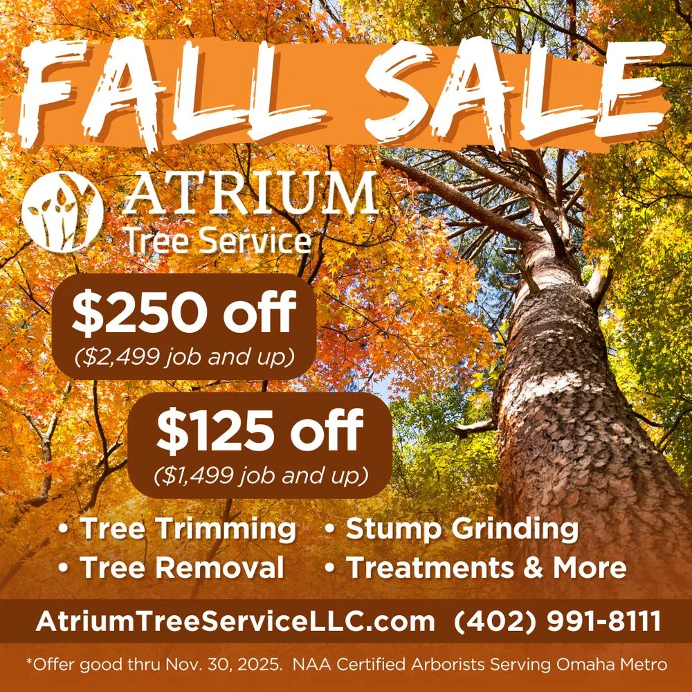 Reliable landscaping services in Bellevue, NE - Atrium Tree Service