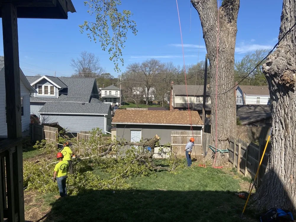 Top-rated lawn care service near you in Bellevue, NE by Atrium Tree Service