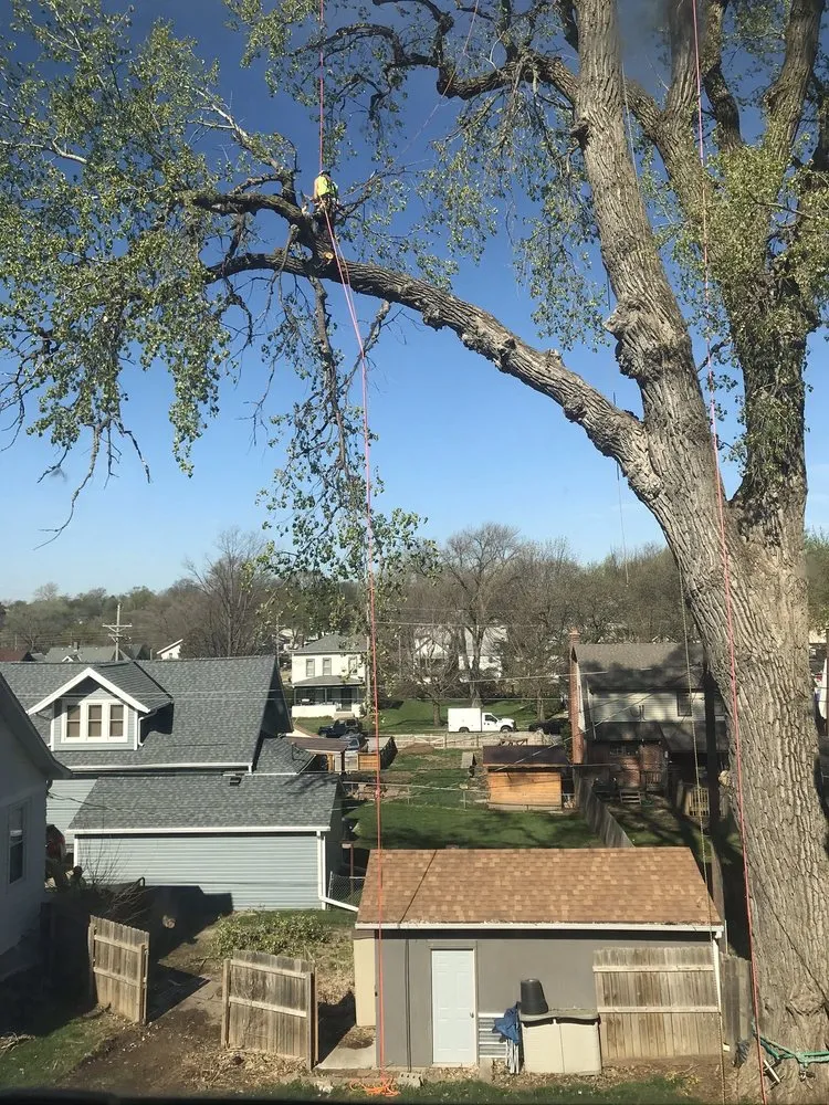 Top-rated residential landscaping for beautiful yards in Bellevue, NE by Atrium Tree Service