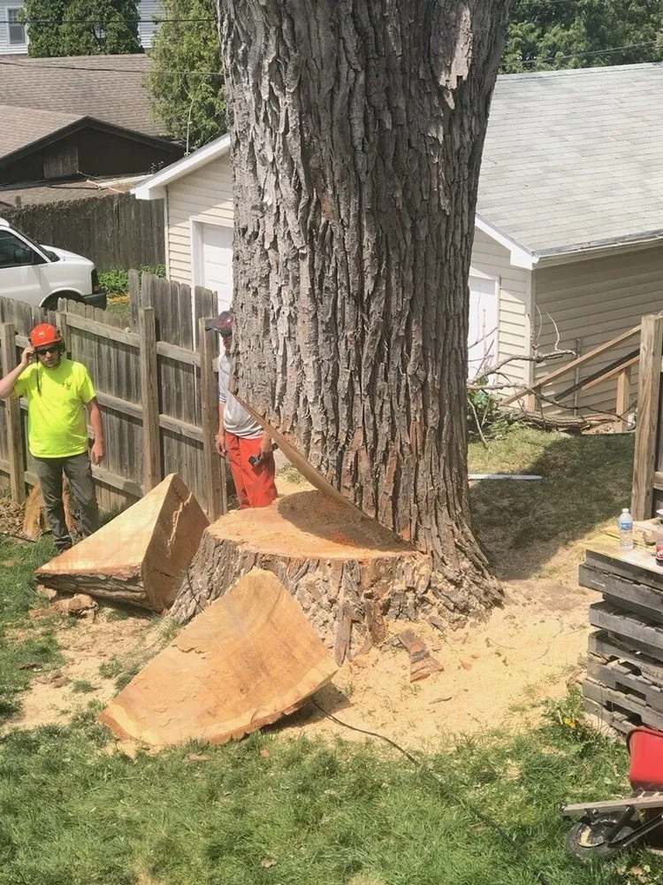 Affordable landscape installation experts serving Bellevue, NE - Atrium Tree Service